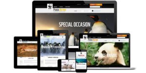 World Wildlife Fund – Panda Nation