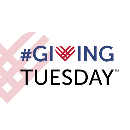 Giving Tuesday 2017: Digital Work & Results
